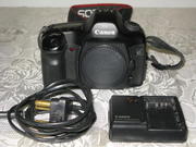 Canon EOS-5D Digital ,  12.8 Megapixels.